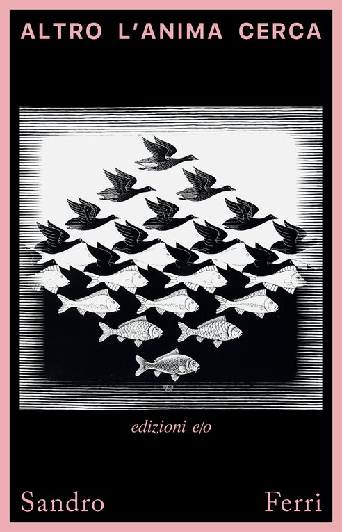 Cover: Altro l'anima cerca - Sandro Ferri